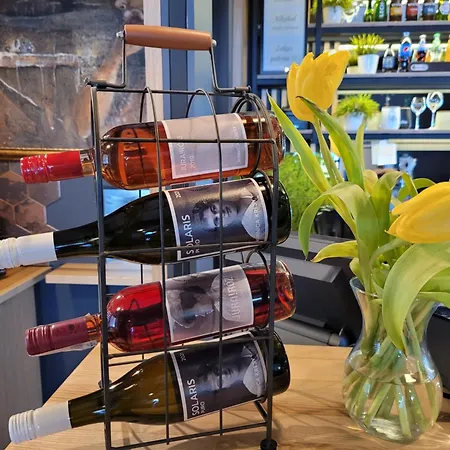 Проживание в семье Wernyhora *