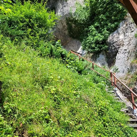 Homestay Wernyhora Suloszowa